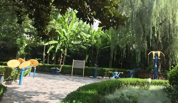王妃之真主